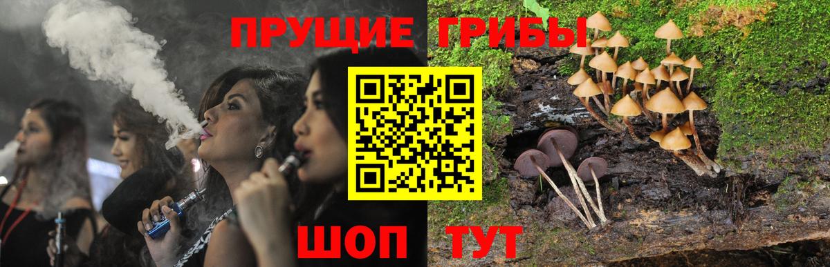 купить наркоту  Псилоцибиновые грибы MAGIC MUSHROOMS  Вход с VPN  Алапаевск 