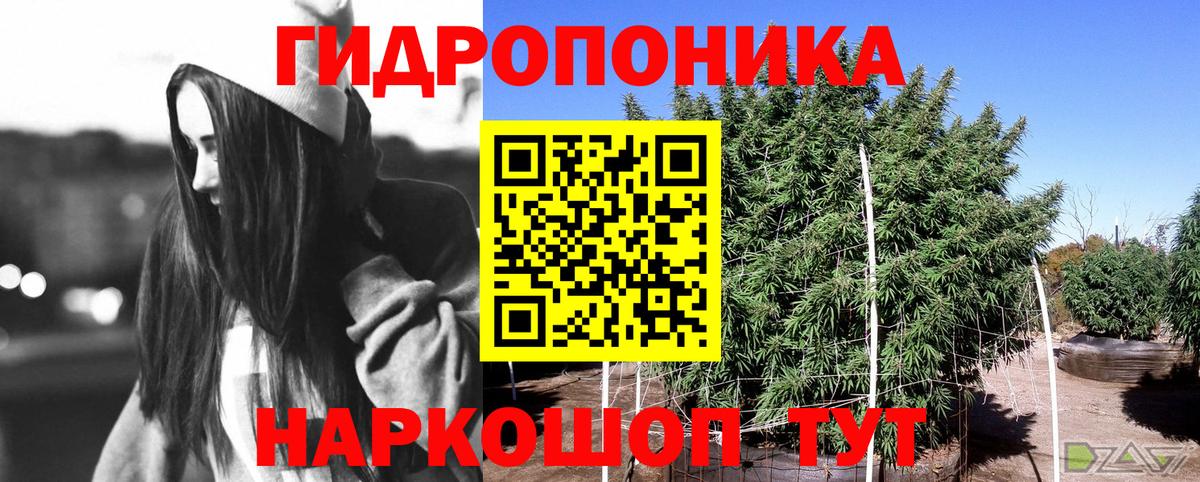 Алапаевск  Каннабис AK-47  Вход с VPN  Марихуана план  Марихуана сатива  МАРИХУАНА конопля 